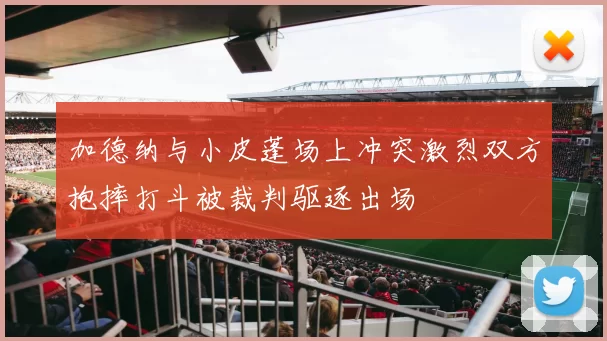 加德纳与小皮蓬场上冲突激烈双方抱摔打斗被裁判驱逐出场